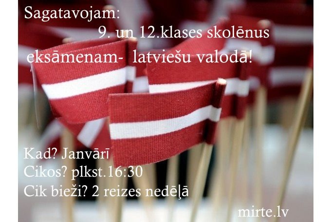 Darba laiks svētkos MIRTE
