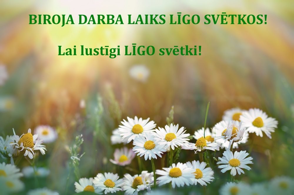 Darba laiks svētkos MIRTE
