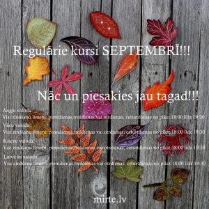 Darba laiks svētkos MIRTE