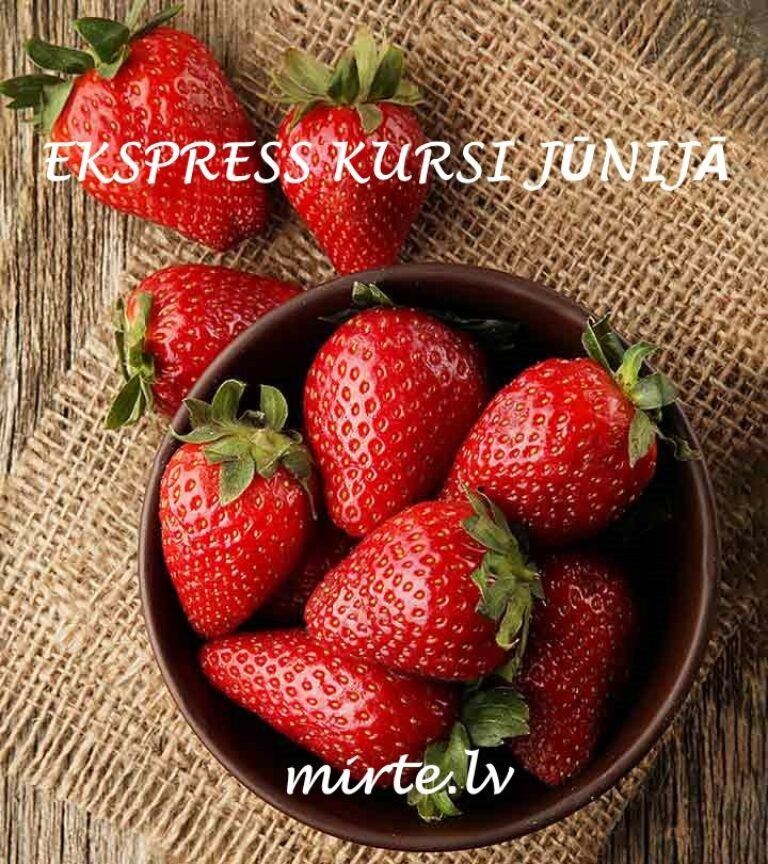 Darba laiks svētkos MIRTE
