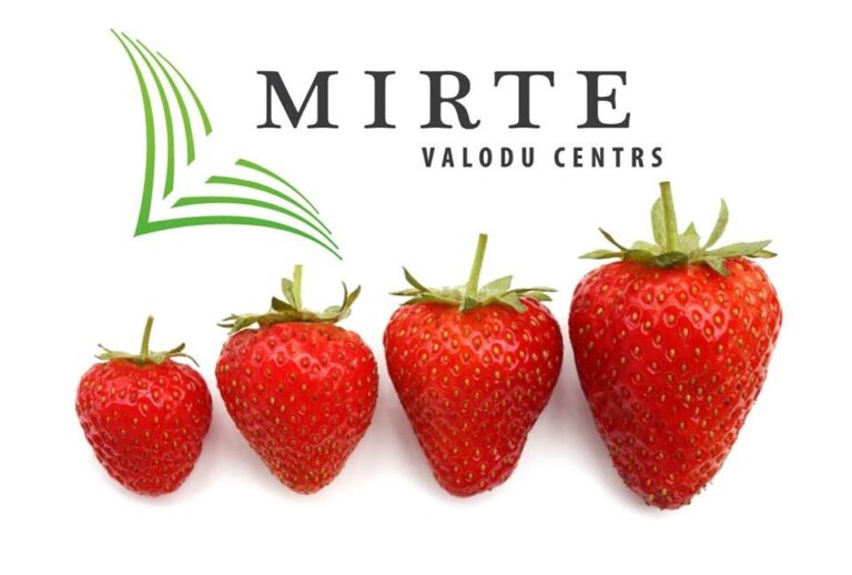 MIRTE valodu centrs