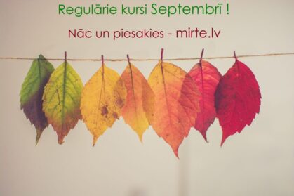 Darba laiks svētkos MIRTE