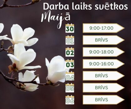 Darba laiks svētkos MIRTE