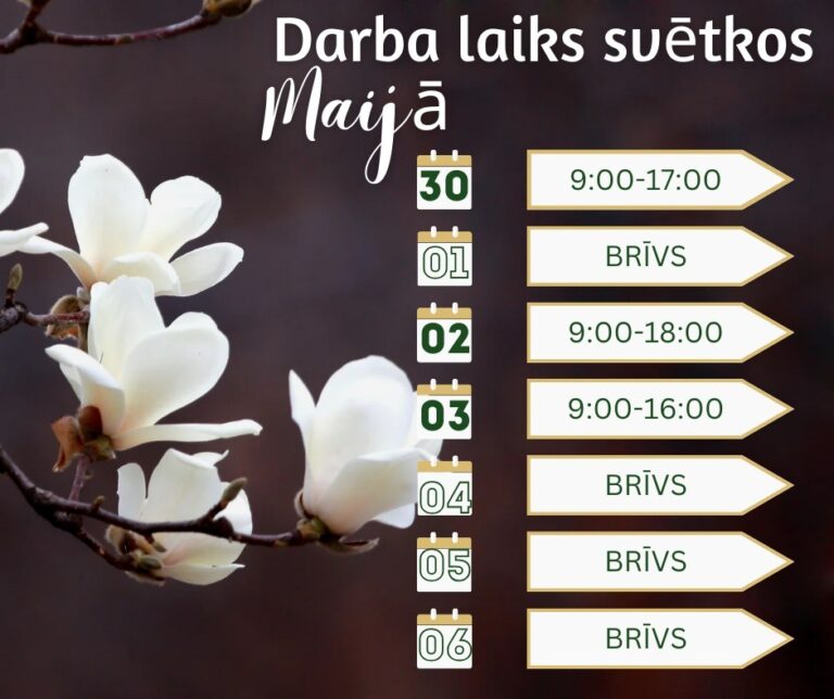 Darba laiks svētkos MIRTE